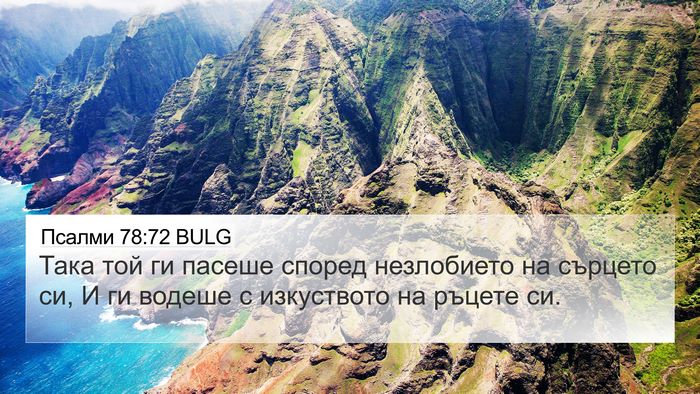 Псалми 78:72 BULG Bible Verse Image