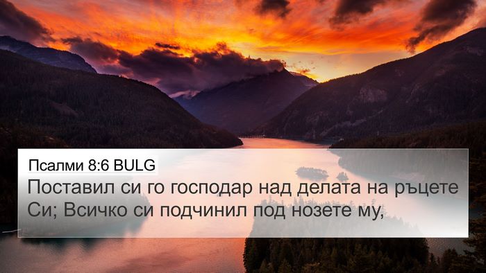 Псалми 8:6 BULG Bible Verse Image