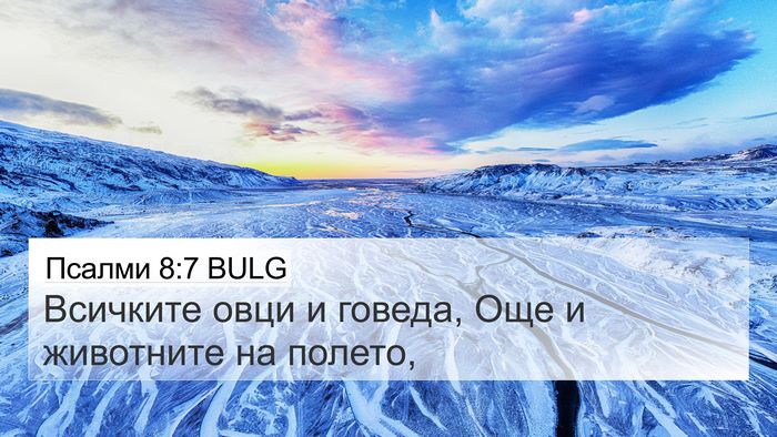 Псалми 8:7 BULG 4K Wallpaper - Всичките овци и говеда, Още - 4K Wallpaper Bible Verse