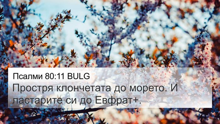 Псалми 80:11 BULG Bible Verse Image