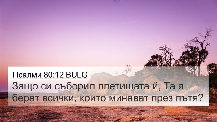 Псалми 80:12 BULG Bible Verse Image