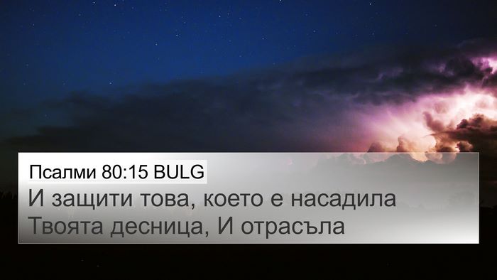 Псалми 80:15 BULG Bible Verse Image