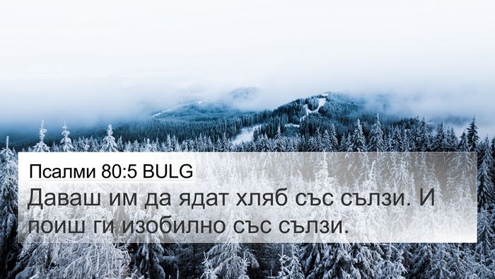 Псалми 80:5 BULG Bible Verse Image