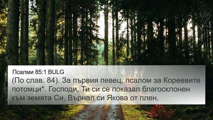 Псалми 85:1 BULG 4K Wallpaper - (По слав. 84). За първия - 4K Wallpaper Bible Verse