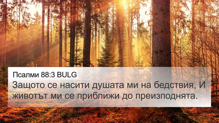 Псалми 88:3 BULG Bible Verse Image