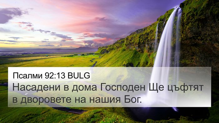 Псалми 92:13 BULG Bible Verse Image
