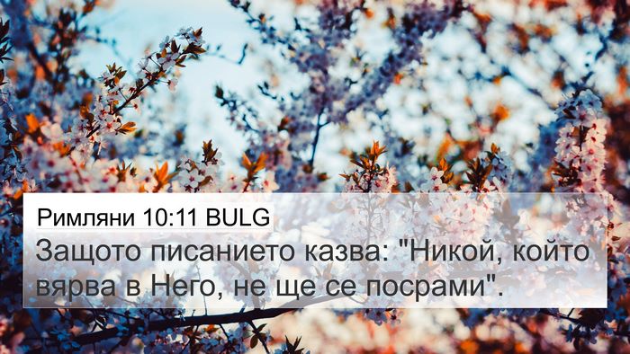 Римляни 10:11 BULG Bible Verse Image