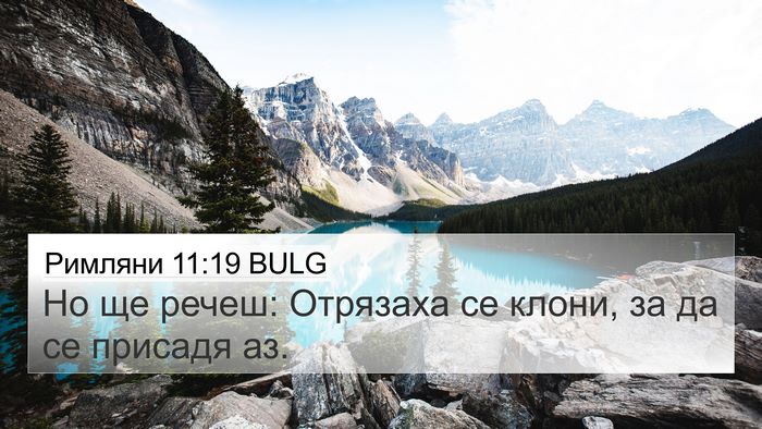 Римляни 11:19 BULG Bible Verse Image
