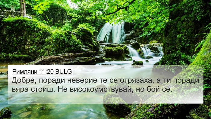 Римляни 11:20 BULG Bible Verse Image