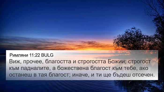 Римляни 11:22 BULG Bible Verse Image