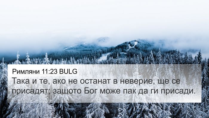Римляни 11:23 BULG Bible Verse Image