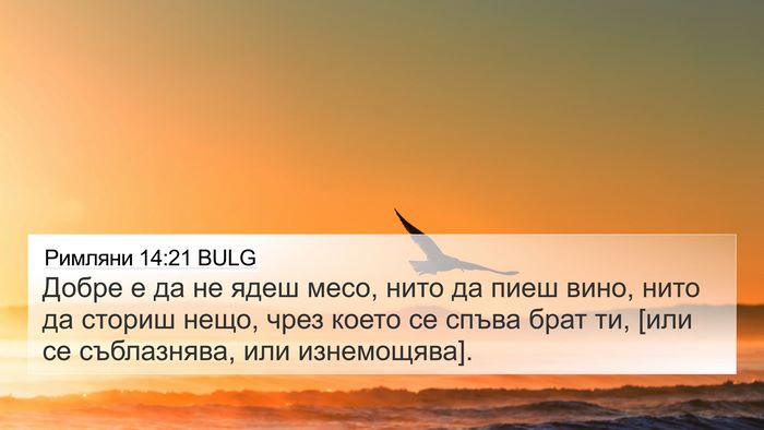 Римляни 14:21 BULG Bible Verse Image