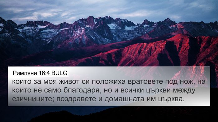Римляни 16:4 BULG Bible Verse Image