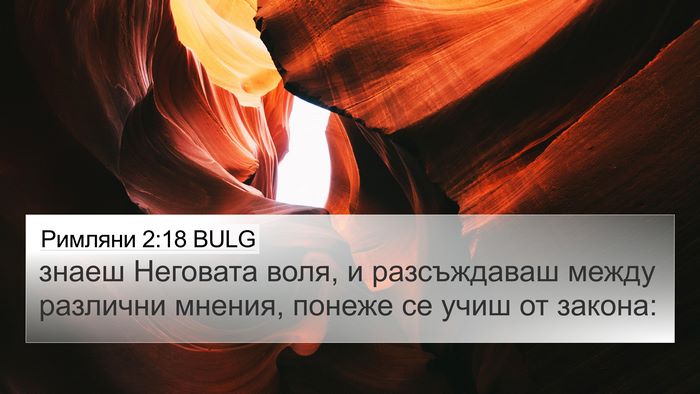 Римляни 2:18 BULG Bible Verse Image