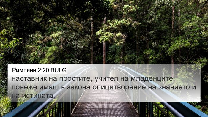 Римляни 2:20 BULG Bible Verse Image