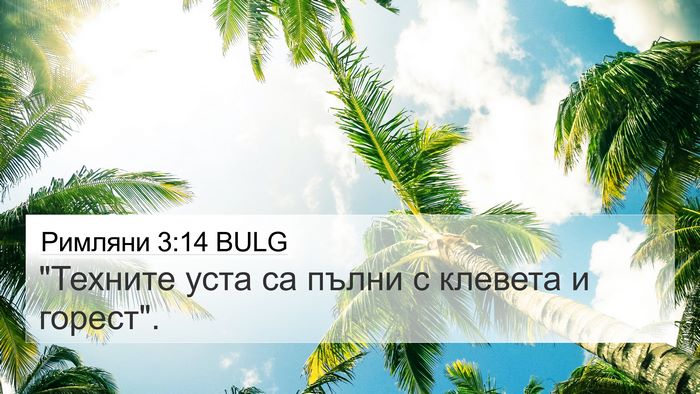 Римляни 3:14 BULG Bible Verse Image