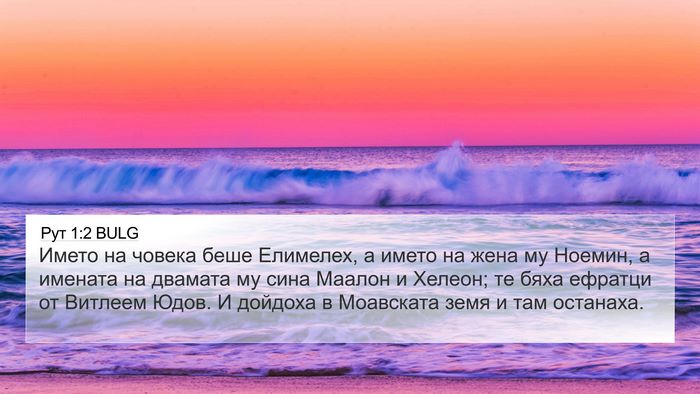 Рут 1:2 BULG 4K Wallpaper - Името на човека беше - 4K Wallpaper Bible Verse