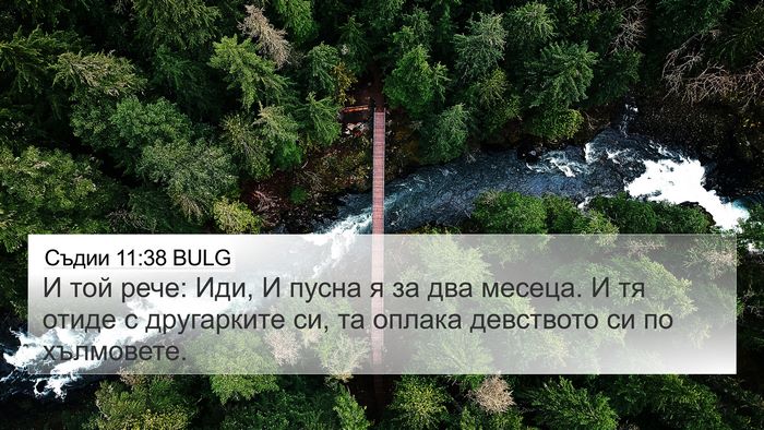 Съдии 11:38 BULG Bible Verse Image