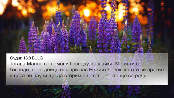 Съдии 13:8 BULG Bible Verse Image
