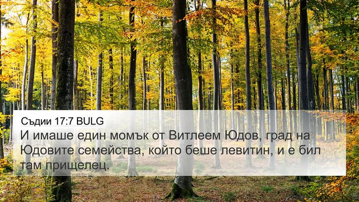 Съдии 17:7 BULG 4K Wallpaper - И имаше един момък от - 4K Wallpaper Bible Verse