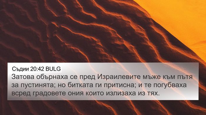 Съдии 20:42 BULG Bible Verse Image