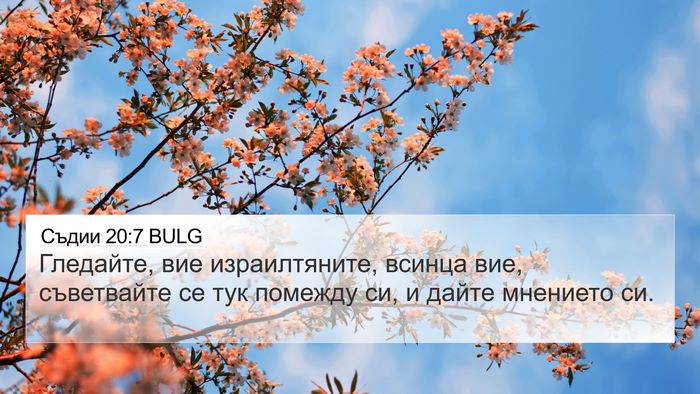 Съдии 20:7 BULG Bible Verse Image