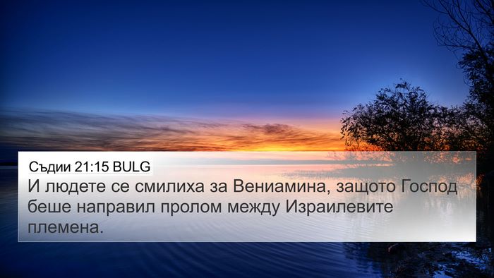 Съдии 21:15 BULG Bible Verse Image