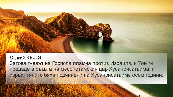 Съдии 3:8 BULG Bible Verse Image