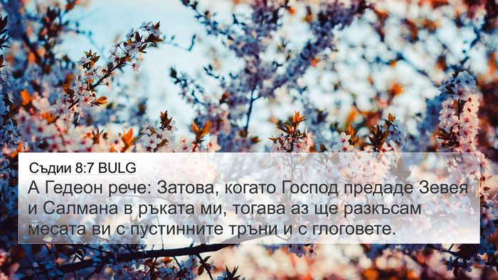 Съдии 8:7 BULG 4K Wallpaper - А Гедеон рече: Затова, - 4K Wallpaper Bible Verse