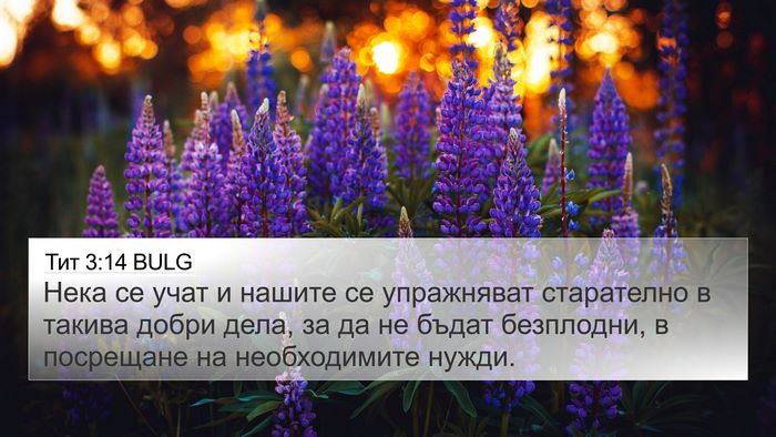 Тит 3:14 BULG Bible Verse Image