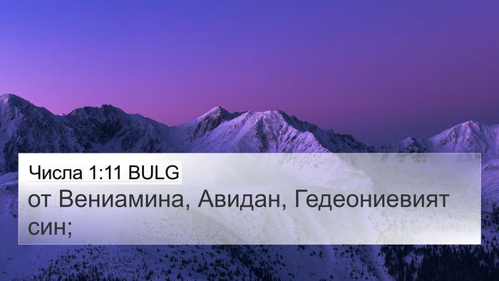 Числа 1:11 BULG Bible Verse Image