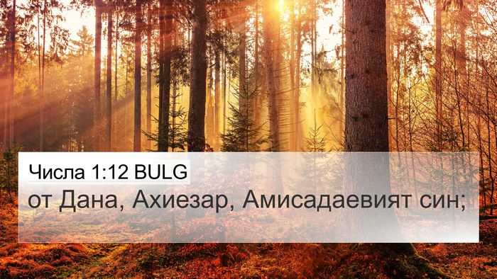 Числа 1:12 BULG Bible Verse Image