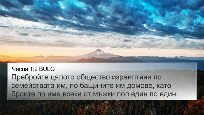 Числа 1:2 BULG 4K Wallpaper - Пребройте цялото общество - 4K Wallpaper Bible Verse