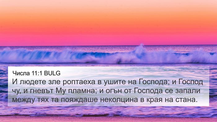 Числа 11:1 BULG Bible Verse Image