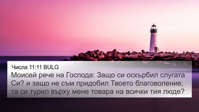 Числа 11:11 BULG Bible Verse Image