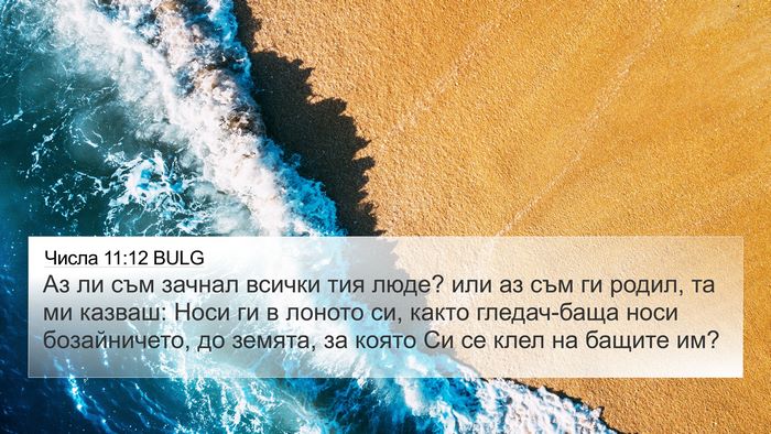 Числа 11:12 BULG 4K Wallpaper - Аз ли съм зачнал всички тия - 4K Wallpaper Bible Verse