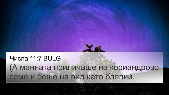 Числа 11:7 BULG 4K Wallpaper - (А манната приличаше на - 4K Wallpaper Bible Verse