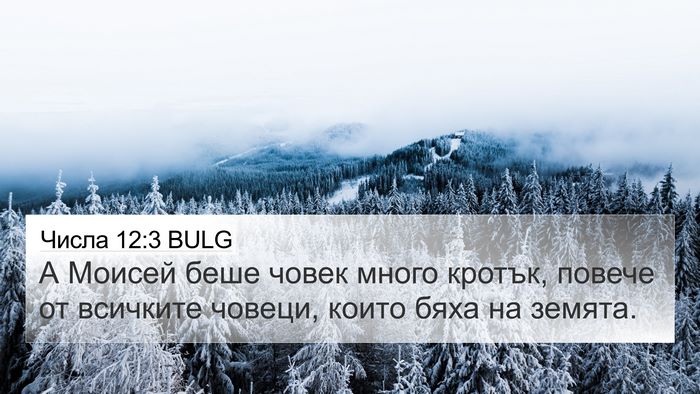 Числа 12:3 BULG Bible Verse Image