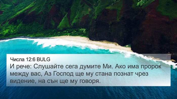 Числа 12:6 BULG Bible Verse Image