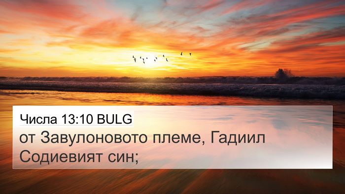 Числа 13:10 BULG 4K Wallpaper - от Завулоновото племе, - 4K Wallpaper Bible Verse