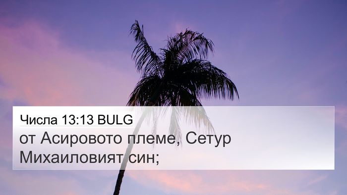 Числа 13:13 BULG 4K Wallpaper - от Асировото племе, Сетур - 4K Wallpaper Bible Verse