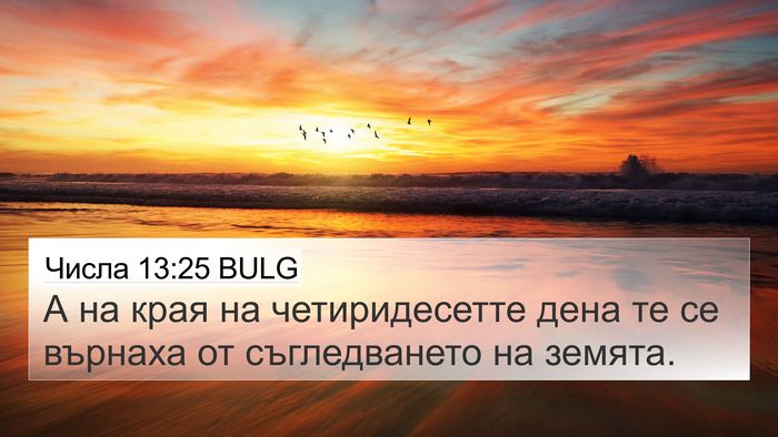 Числа 13:25 BULG 4K Wallpaper - А на края на четиридесетте - 4K Wallpaper Bible Verse