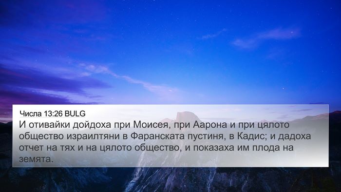 Числа 13:26 BULG Bible Verse Image