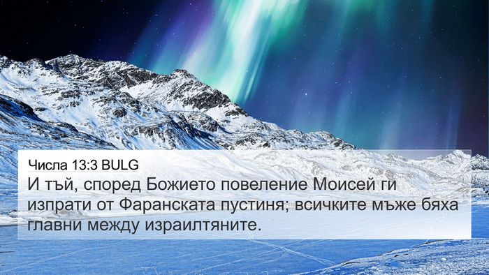 Числа 13:3 BULG Bible Verse Image