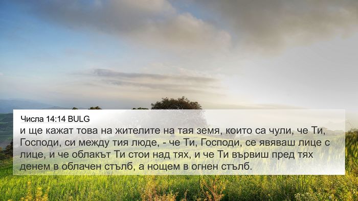 Числа 14:14 BULG Bible Verse Image