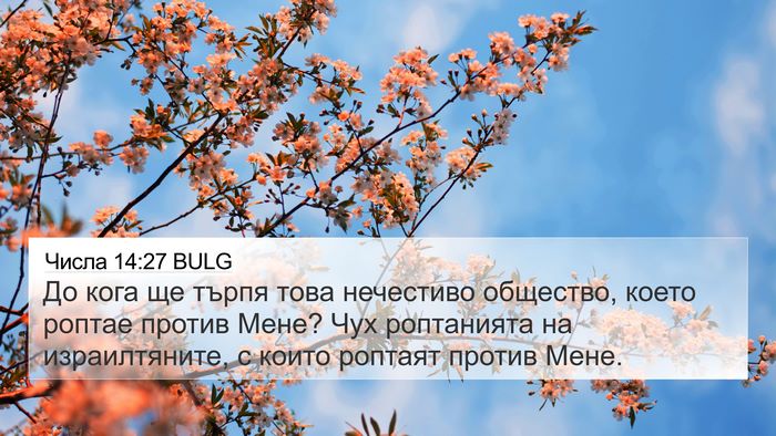 Числа 14:27 BULG Bible Verse Image