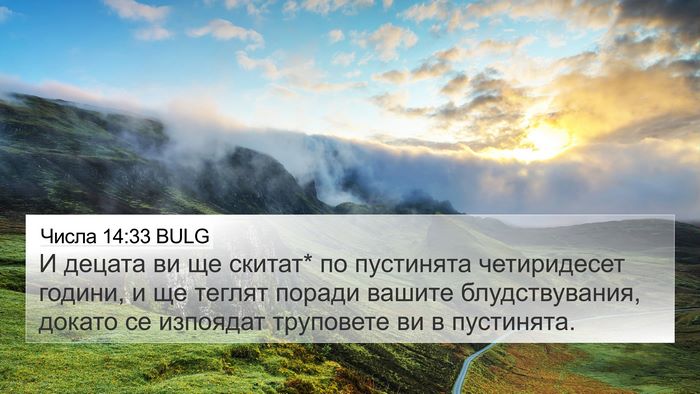 Числа 14:33 BULG Bible Verse Image