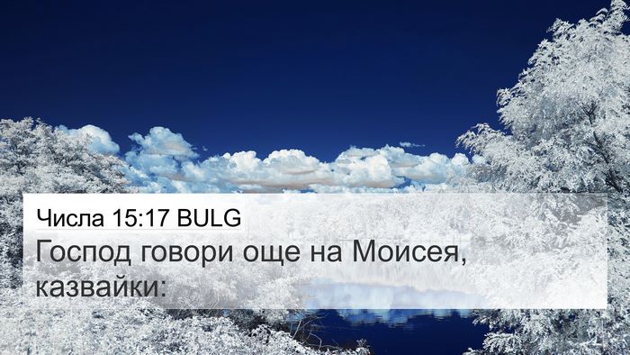 Числа 15:17 BULG Bible Verse Image