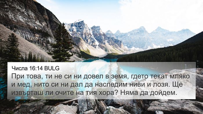 Числа 16:14 BULG Bible Verse Image