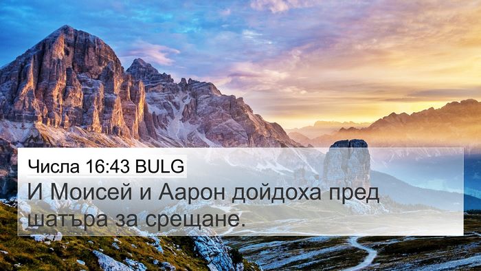 Числа 16:43 BULG Bible Verse Image